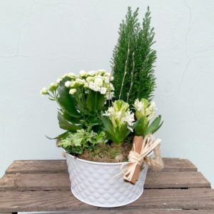 Seasonal Mixed Planter