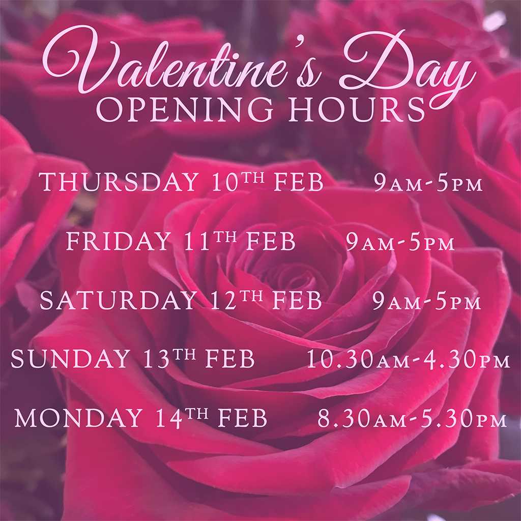Valentines Day Opening Hours