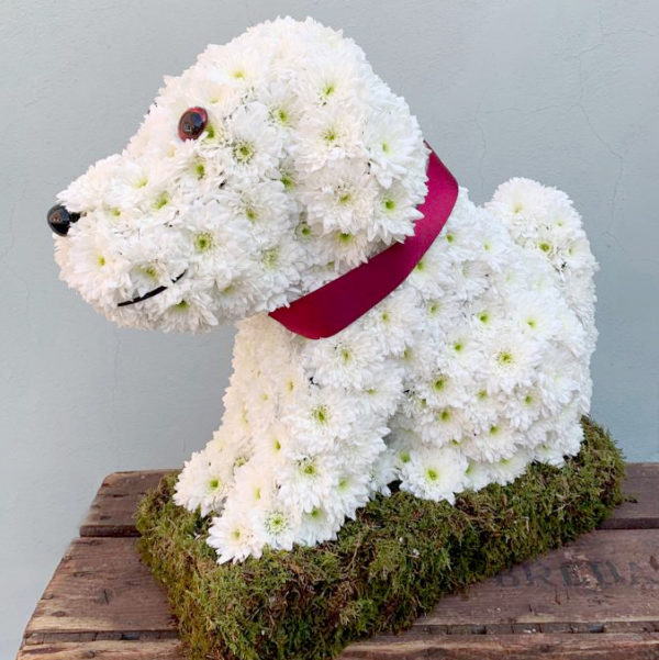 Dog Shaped Funeral Tribute