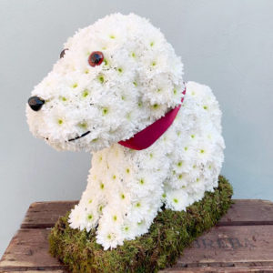 Dog Shaped Funeral Tribute