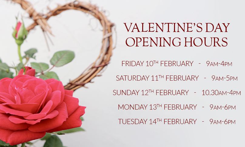 Valentines Day Opening Hours 2023