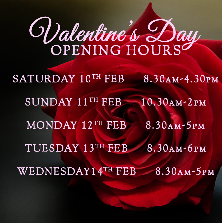 Valentines Day Opening Hour 2024