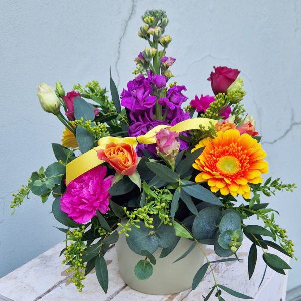 Mothers Day Pot Arrangement Vibrant